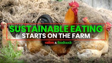 Thumbnail for The farmers on the frontlines of climate change are trying to recruit a younger gener